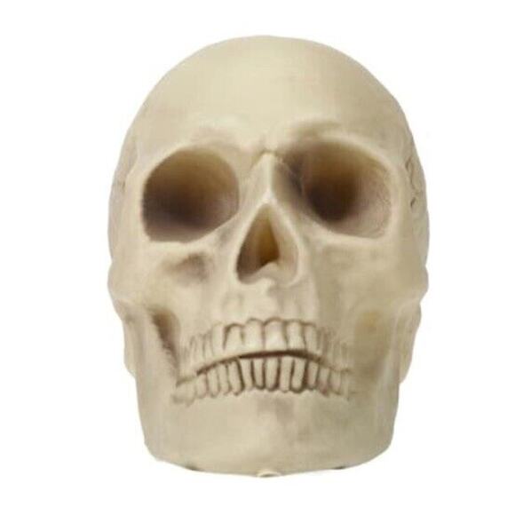 🔥Halloween Skeleton Skull Bone Decor BNWT🔥 - Picture 2 of 4